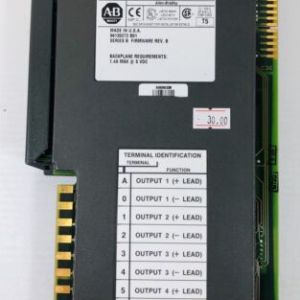 1771-OFE1 B Inout/Output (I/O) Card Allen Bradley Module